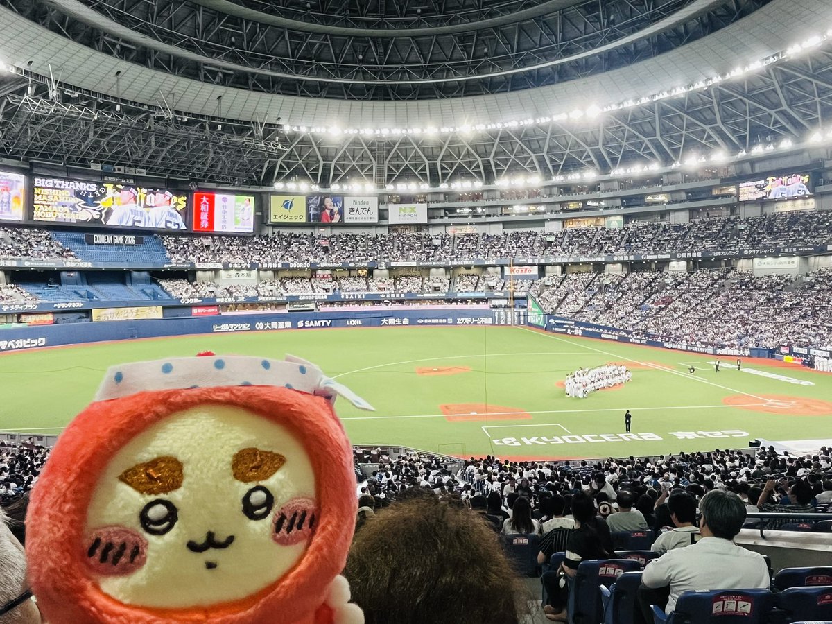 AliceMonczer's tweet photo. まーさん、ノブさん、お疲れ様でした
今シーズン最後の観戦でした
まーさんの活躍とセレモニーに泣いた🥲
気合いを入れろバファローズだよほんまに https://t.co/JieAvWK3lO