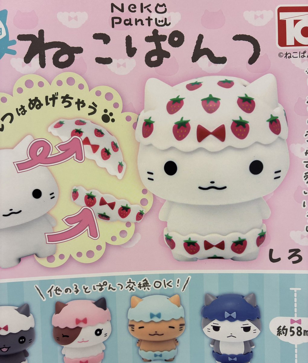 高崎オーパの入荷情報の写真