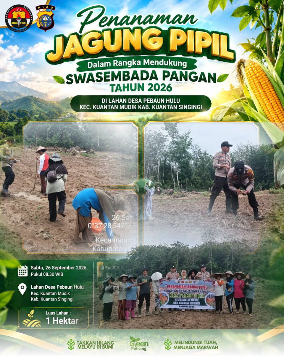 ManarYuris's tweet photo. Personil Polsek Kuantan Mudik bersama Bumdes dan Ppl Pertanian melaksanakan kegiatan penanaman jagung pipil di Desa Pebaun Hulu Kegiatan ini merupakan bentuk nyata dukungan terhadap program pemerintah dalam mewujudkan ketahanan pangan.
#Swasembadapangan
#Ketahananpangan https://t.co/WsqLeG1DAb