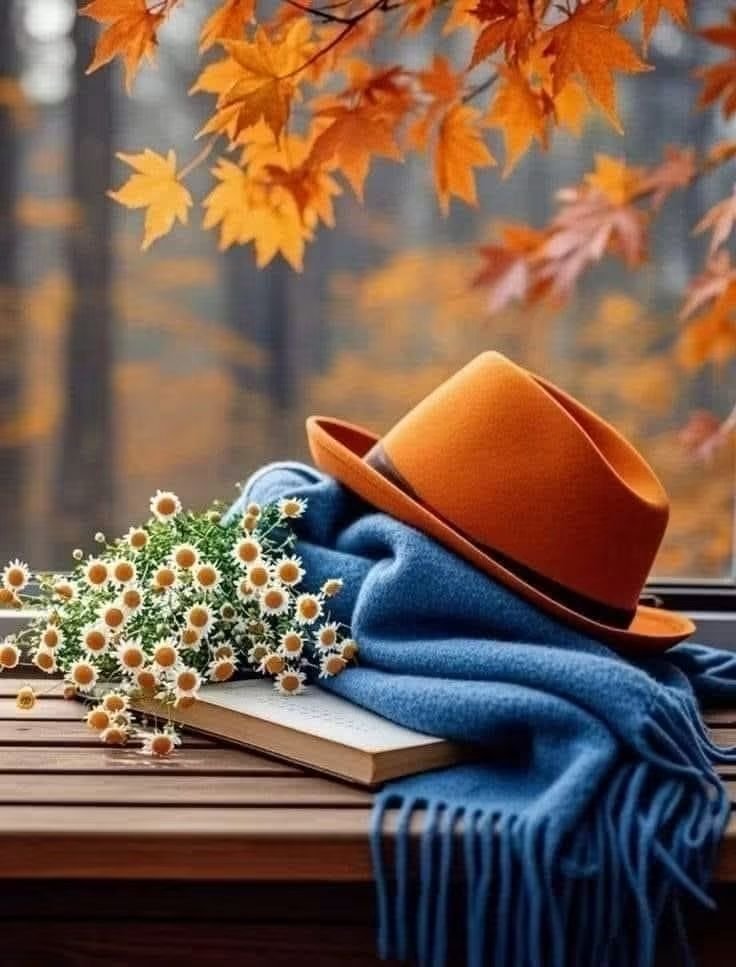 Leonor08159041's tweet photo. May your day be beautiful
your heart light. Some moments are precious,precisely because they are unexpected.🍁💙🧡 https://t.co/0Z5gJEJNwI