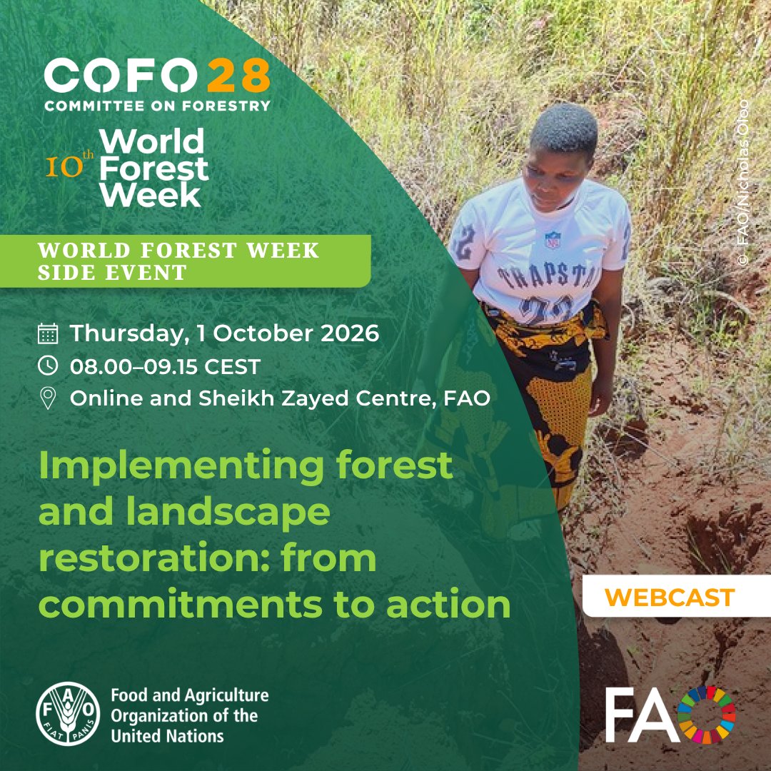 FAOForestry's tweet photo. Join @GPFLRtweets @forest_news and @FAO for a #WorldForestWeek event

Implementing forest and landscape restoration: from commitments to action
🗓️ Thursday 1 October    
⏰ 08.00–09.15 CEST
👉 https://t.co/ghUierpftQ

#COFO28 #GenerationRestoration https://t.co/NSNfst0xt3