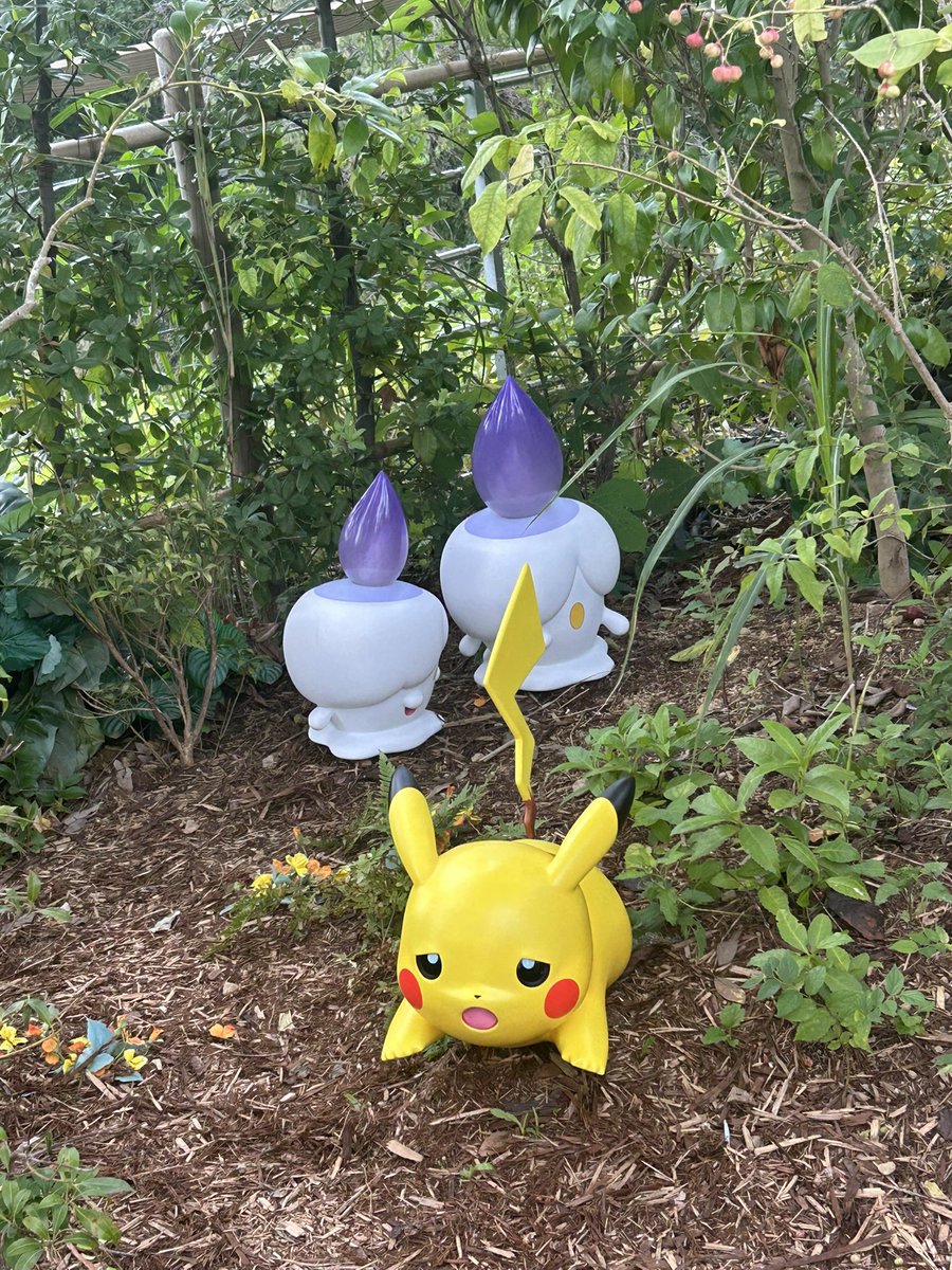 tamatarou_5's tweet photo. ゴーストポケモンみんな可愛い👻

1　ヒトモシ
2　ゲンガー

#ポケパークカントー https://t.co/4vSpvz9XoZ