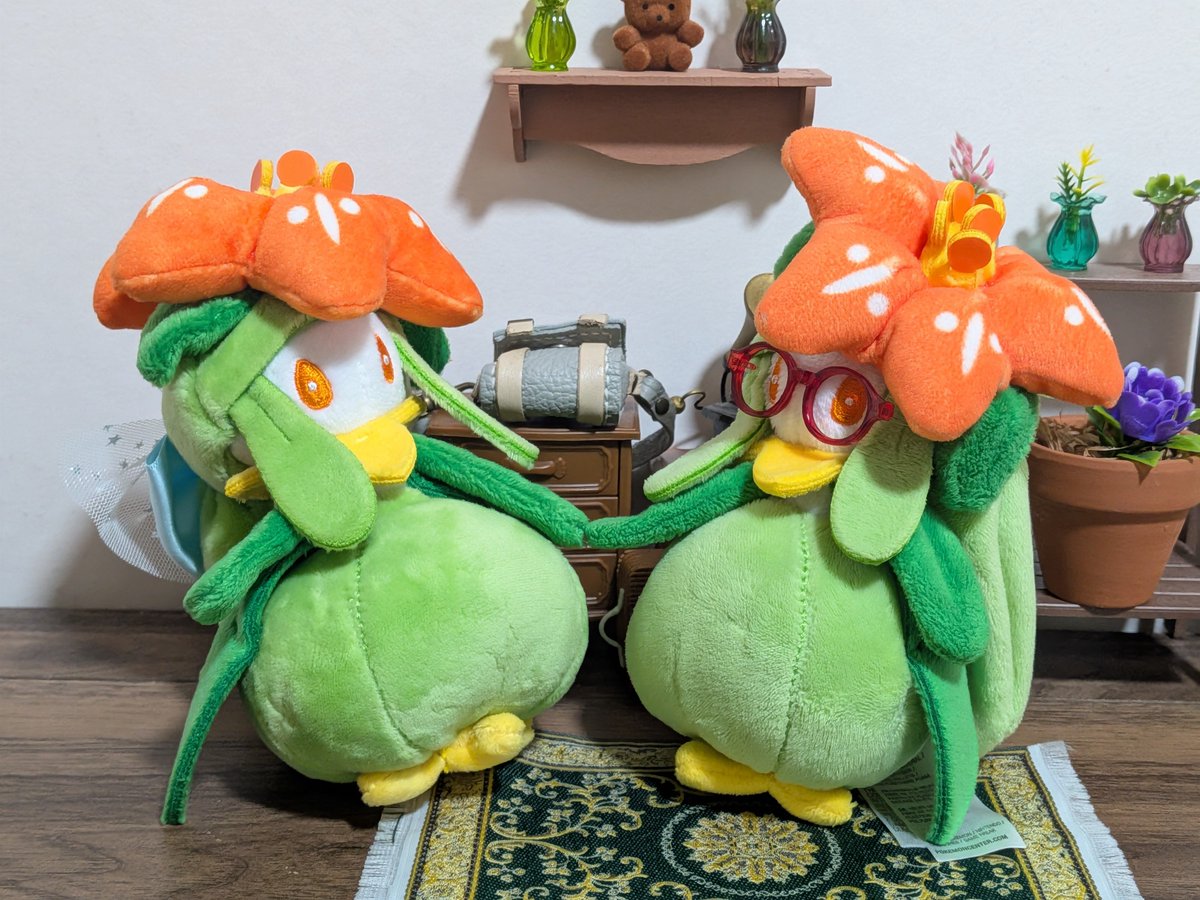 kaedepokesc's tweet photo. お家でよくお手々つないで遊んでます☺️ https://t.co/B295pm7Kd0