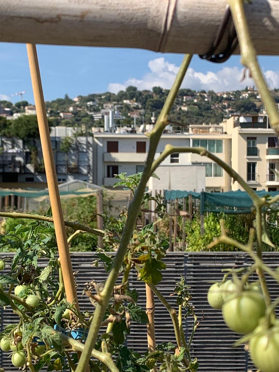 AssoGRAINN's tweet photo. 🚨 ℹ️ANTENNES RELAIS BD GORBELLA☢️
Projet gelé par l’ancien Maire de Nice,opérateur sensé chercher 1 autre site d’implantation  ...Or constat amer😡📡 en cours d'installation au 56 bd Gorbella
🚸👪👶🎾⚽️🌿🏘🖐STOP
↪️Nouvelle municipalité&amp;médias  alertés
↪️https://t.co/L8sB3RYwxc https://t.co/NZNPxO89ia