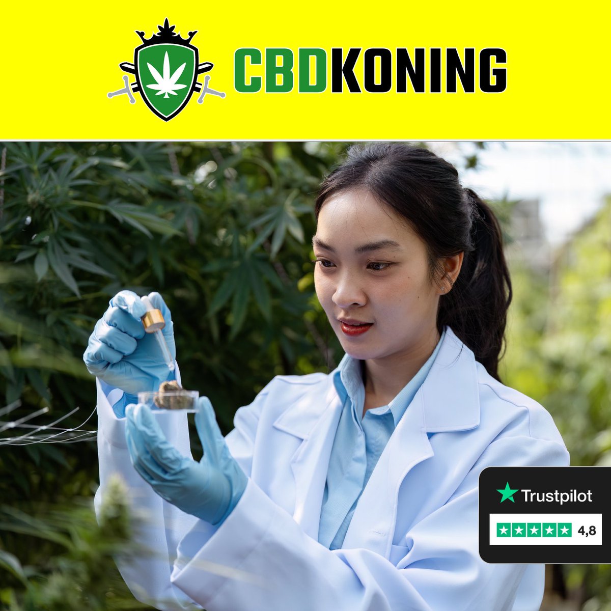 CBDkopen's tweet photo. Meer dan 1.000-en klanten gingen je al voor!

Vanaf € 0,99 per gram 🔚

https://t.co/O1yfqxkYxS

#cbd #cbdkopen #gaming #voetbal
#Brussel #Luik #Design https://t.co/ZZ8Hw39b2t