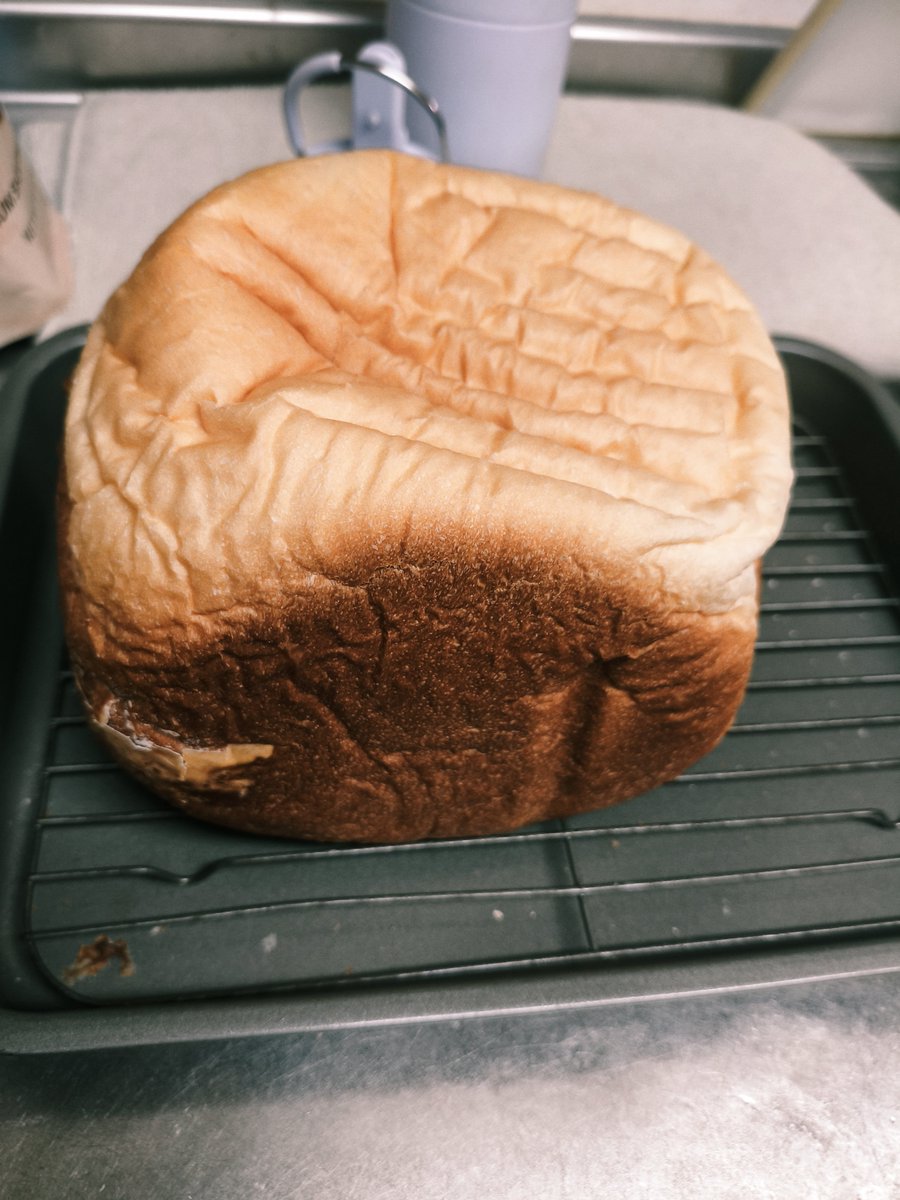 anst___jrk's tweet photo. 食パン焼いた🍞 食パンコース辞めてソフトパンコースにしたらふわふわに焼けた🫶 明日のシチューと一緒に食べる🤤 https://t.co/HfdZmMxwvV