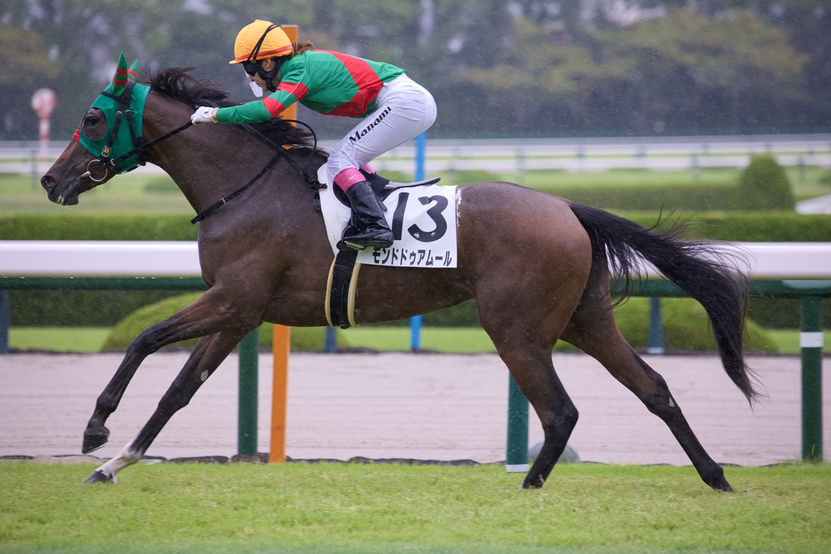 lizao391358's tweet photo. 2026.09.26    
阪神3R 2歳未勝利    
モンドドゥアムール　永島まなみ騎手   
#モンドドゥアムール 
#永島まなみ https://t.co/mIKvjtl9wY