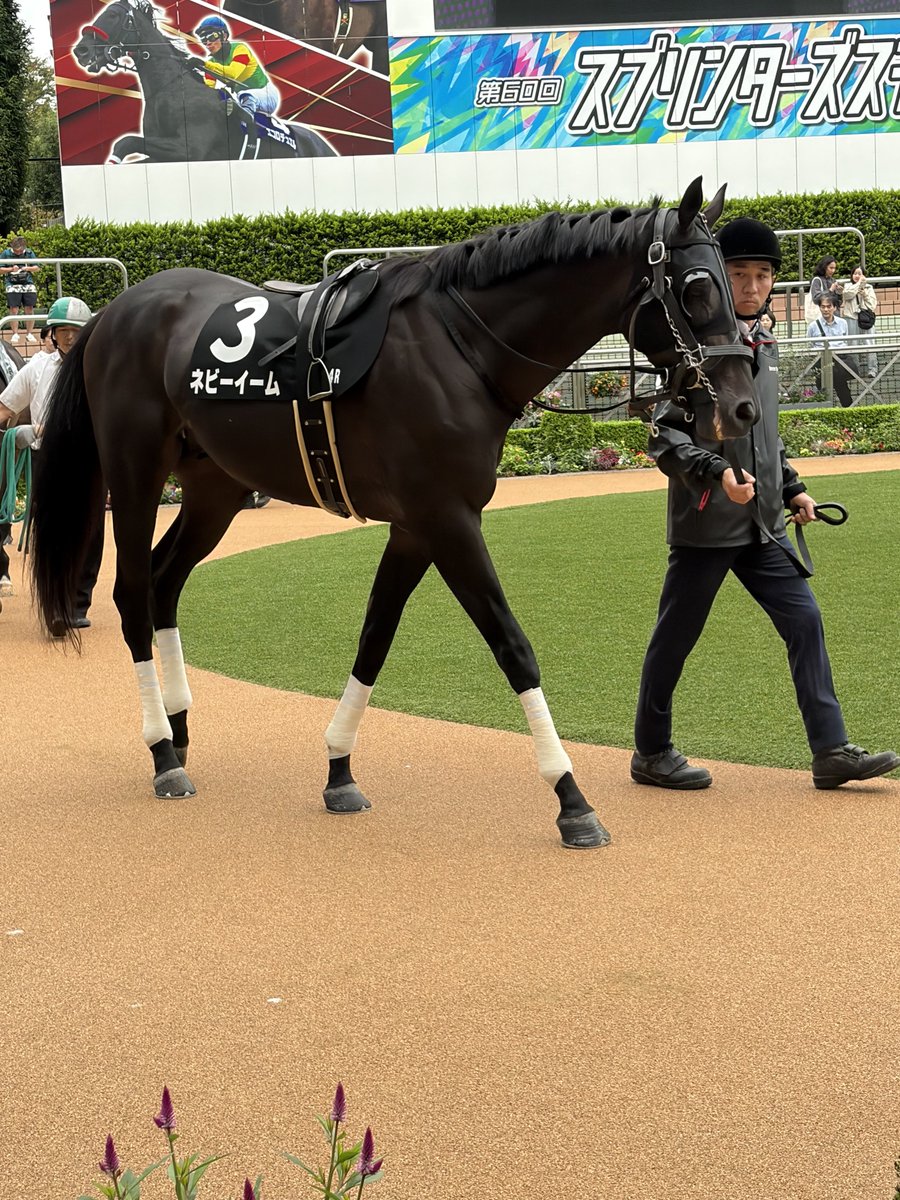 s___814's tweet photo. ネビーイーム号 https://t.co/wCcoGhKCO6
