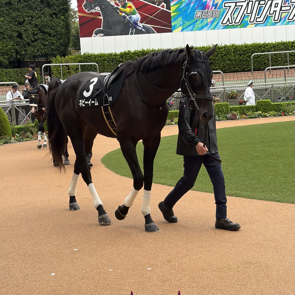 s___814's tweet photo. ネビーイーム号 https://t.co/wCcoGhKCO6