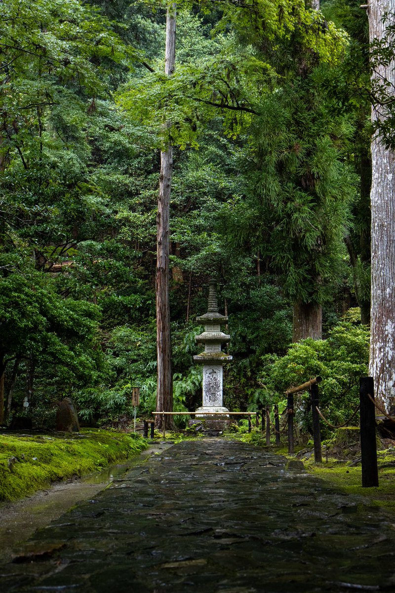 GunBoy0701's tweet photo. 法然院 京都市
雨に濡れた苔と緑が美しい。
雨の日もいいですね。 https://t.co/A2W11Zq4hd