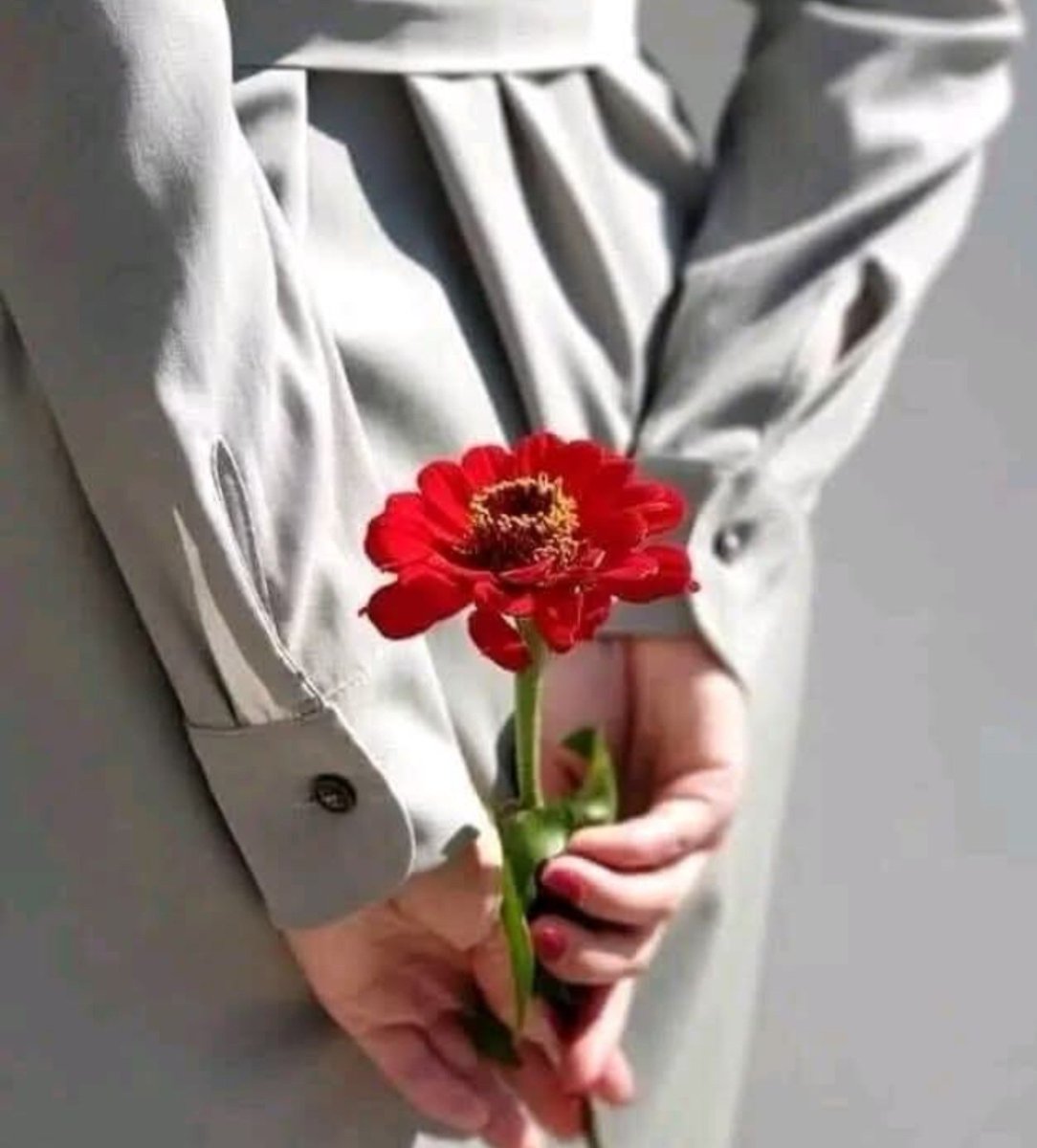 _Nawab_zadi_'s tweet photo. محبت کا پہلا اصول شاید یہی ہے کہ جو دل میں ہو، اسے صرف محسوس نہ کیا جائے کسی نہ کسی صورت دے بھی دیا جائے۔

"رابرٹ لوئس اسٹیونسن لکھتے ہیں"  
"تم محبت کیے بغیر کسی کو دے سکتے ہو،
مگر تم دیے بغیر کبھی محبت نہیں کر سکتے" 

محبت اپنے اندر کچھ بچا کر رکھنے کا نام نہیں
یہ تو آہستہ آہستہ خود کو کسی دوسرے کے حوالے کرتے جانے کا ہنر ہے۔
اپنا وقت، اپنی توجہ، اپنی نرمی، اپنی وفا
حتیٰ کہ کبھی کبھی اپنی خاموشی بھی۔
تم کسی کو تحفہ دے سکتے ہو،
اسے آسائش دے سکتے ہو،
اپنی دولت یا وقت کا ایک حصہ دے سکتے ہو،
اور پھر بھی ضروری نہیں کہ تم اس سے محبت کرتے ہو۔
مگر جہاں محبت واقعی جنم لیتی ہے،
وہاں انسان کے اندر دینے کی خواہش پیدا ہوتی ہے
بغیر حساب، بغیر رسید، بغیر اس خوف کے کہ بدلے میں کیا ملے گا۔
محبت شاید یہی ہے
اپنے وجود کا کوئی حصہ کسی دوسرے کے سکون کے نام کر دینا۔❤️