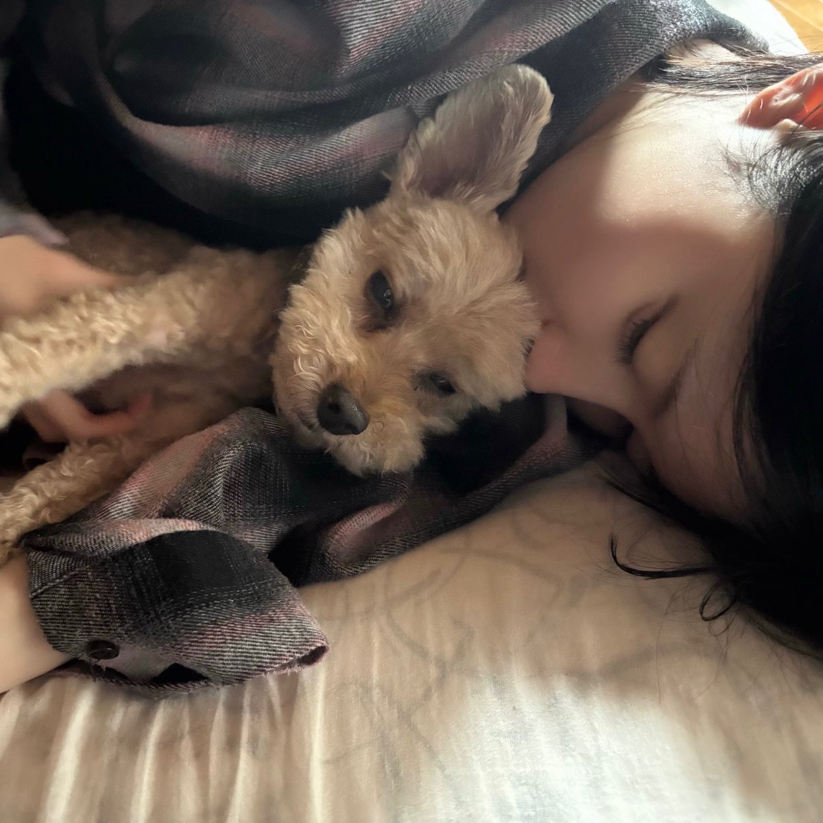 rts826417's tweet photo. 🥺🥺🥺🥺소중행 https://t.co/Ku3OU8OYLv