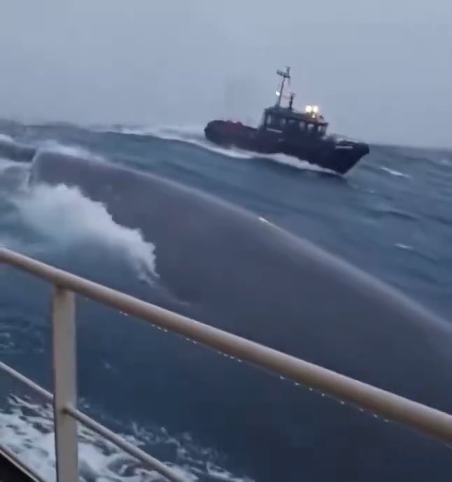 A dark-hulled tugboat navigates rough, choppy seas in stormy weather, viewed from the deck of another vessel.