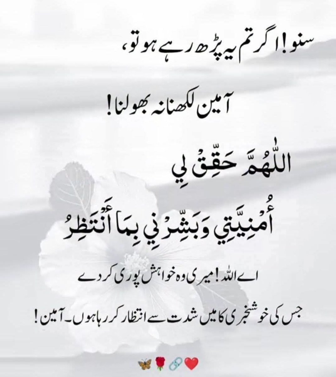 chXaisha's tweet photo. Ameen 💗 https://t.co/gQCNQPgKhV