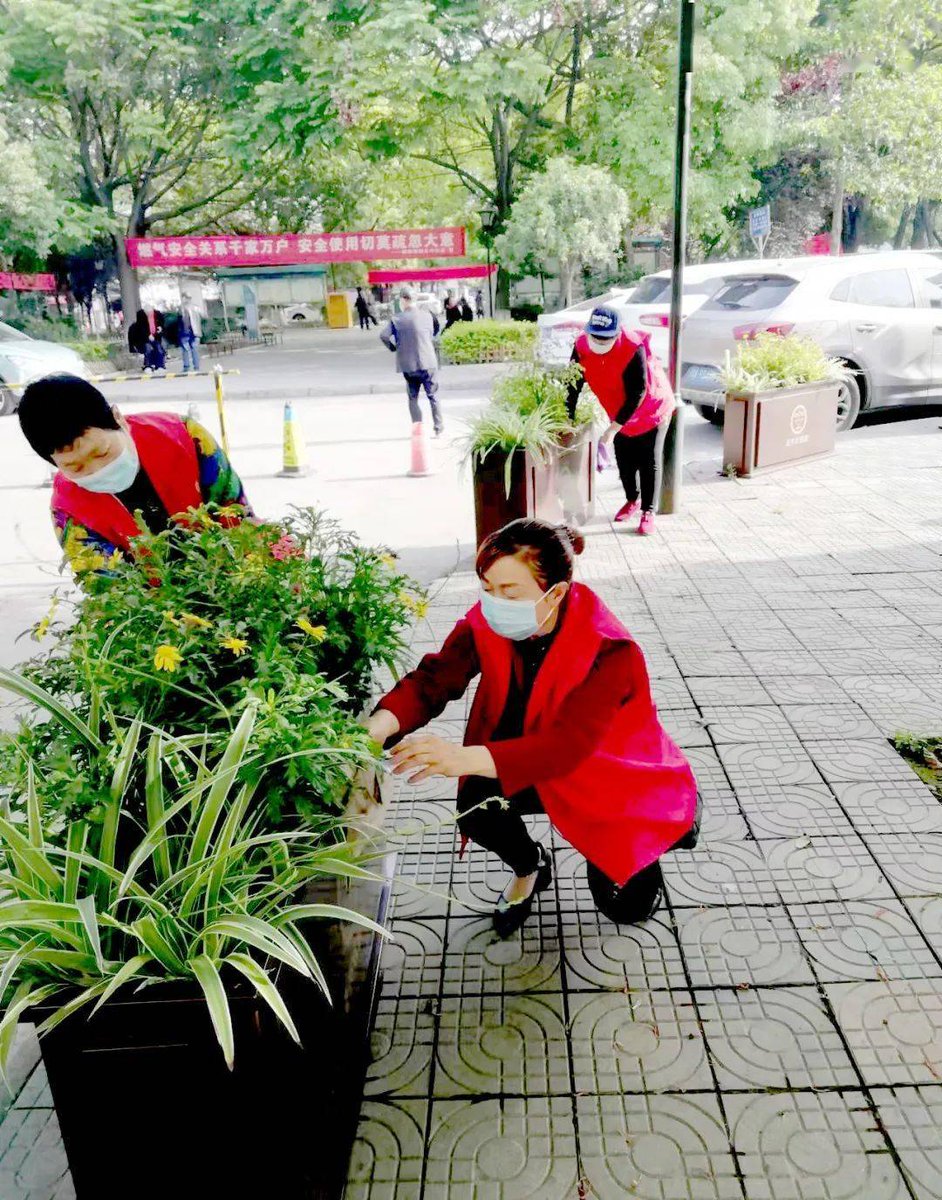 jakearjun248125's tweet photo. [Neighborhood garden cleanup this Sat 9am at Central Park! Gloves u0026 snacks provided. Come lend a hand to green our community—all ages welcome! ]， https://t.co/p6gIRWgJx6