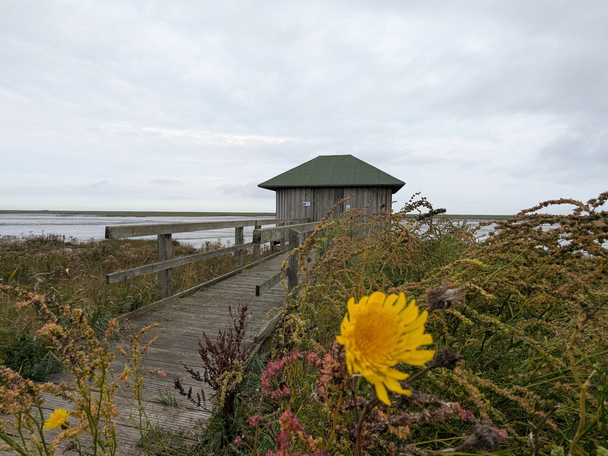 Nordwestroute's tweet photo. Moin aus Butjadingen... #Fedderwardersiel #butjadingen #nordsee #wesermarsch #Burhave #tossens #eckwarderhörne #Ruhwarden #Langwarden #Langwardergroden https://t.co/hzQW2YiSRL