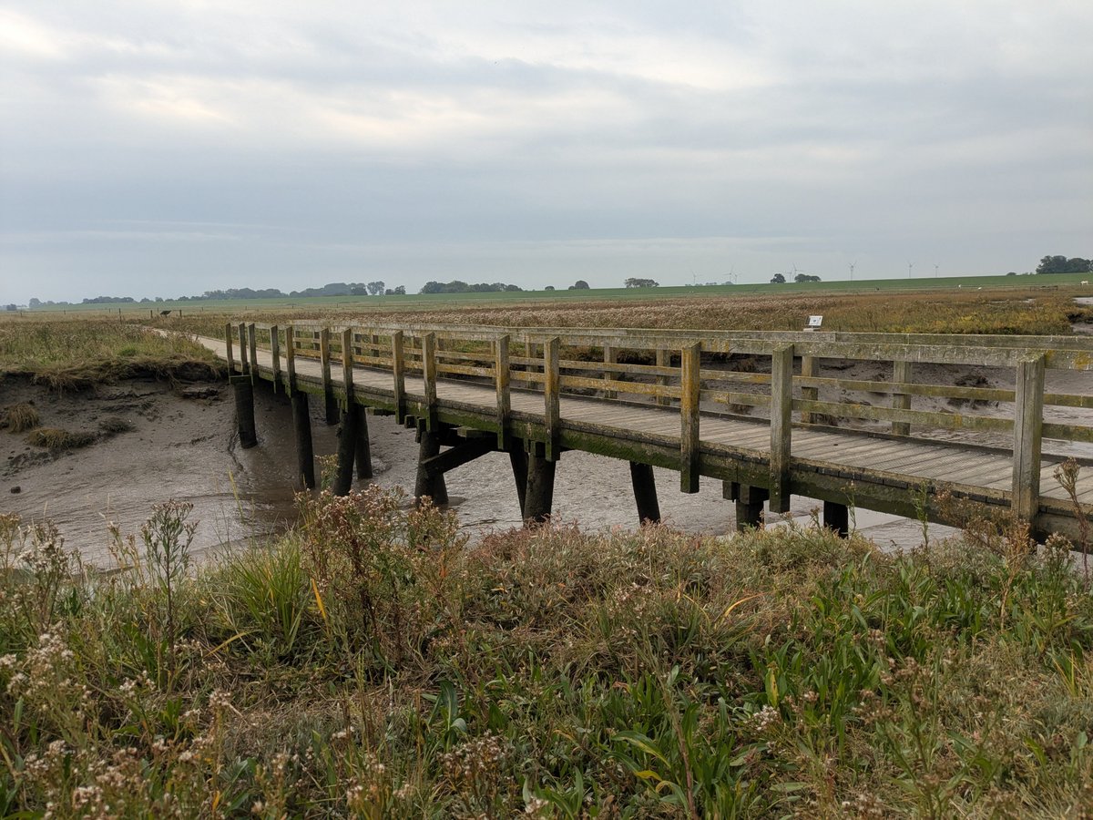 Nordwestroute's tweet photo. Moin aus Butjadingen... #Fedderwardersiel #butjadingen #nordsee #wesermarsch #Burhave #tossens #eckwarderhörne #Ruhwarden #Langwarden #Langwardergroden https://t.co/hzQW2YiSRL