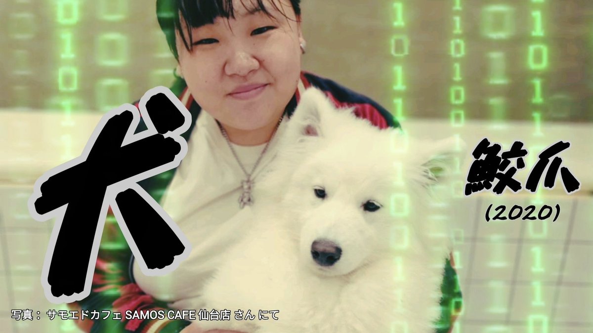 sharknail's tweet photo. 【Lyric Video】犬 / 鮫爪

https://t.co/hlRmljeeJi

#邦ロック
#ロックバンド
#インディーズ
#オリジナル曲
#仙台 https://t.co/5YBWPxE6Xz