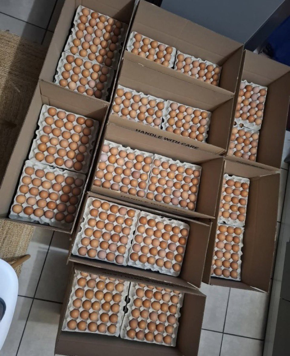 horwoodxxx's tweet photo. EGG + FROZEN CHICKEN SUPPLY
1
BUSINESS IDEA 👇🏾 
EGG CRATE + FROZEN CHICKEN ₦1M – ₦5M

Not a poultry farm. Not “I go rear 2,000 birds.” Not night market.
Compound protein shop. Buy from farm. Sort. Pack. Freeze. For known people in one zone.
People will pay for eggs and chicken they can collect in daylight.