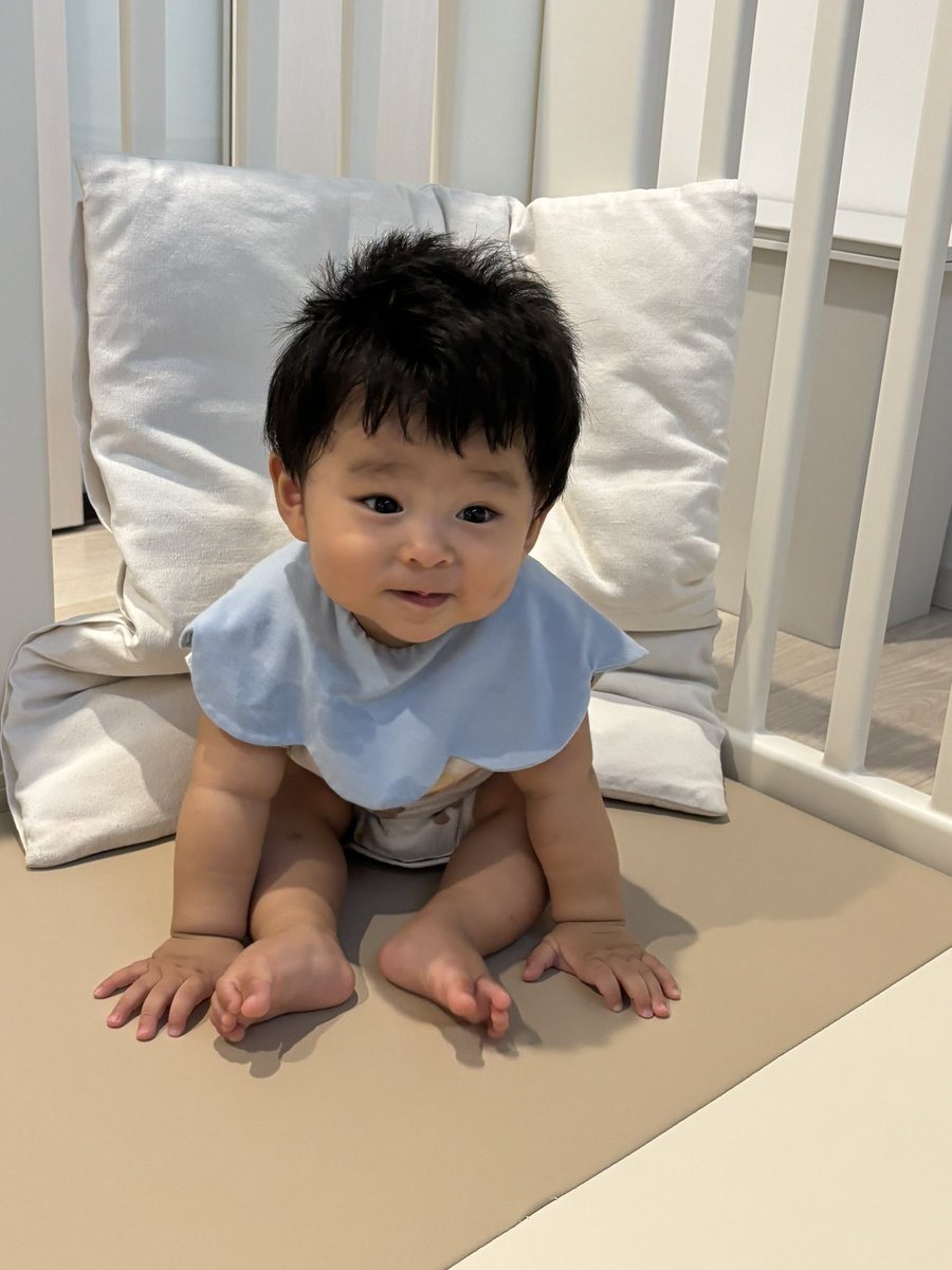 kk_lec's tweet photo. お座りしだした https://t.co/bzxuL5c0ej