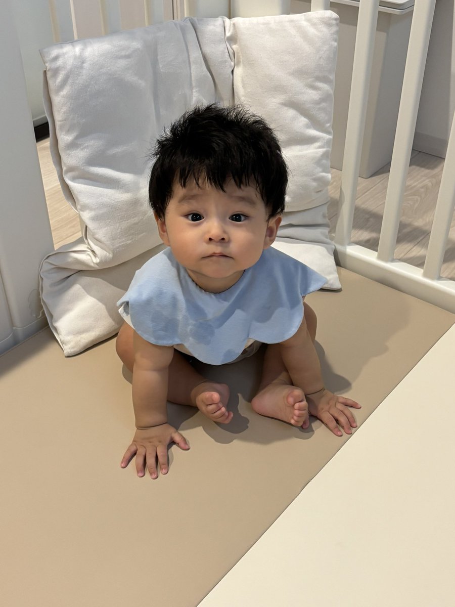 kk_lec's tweet photo. お座りしだした https://t.co/bzxuL5c0ej