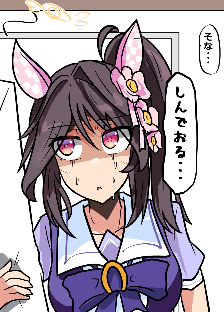 komatinohu_sub's tweet photo. ギャップ萌えとやらを披露したファレノプシス https://t.co/eVr9D8ML8W