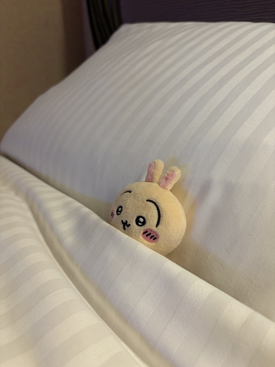 meeekochan82's tweet photo. 良いホテルだよ、プルャ https://t.co/FCDRF4AoeL