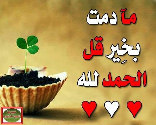 AHMADkuweit's tweet photo. اللهم صل وسلم وبارك على نبينا محمد وعلى اله وصحبه اجمعين https://t.co/Gju1sk4YXl