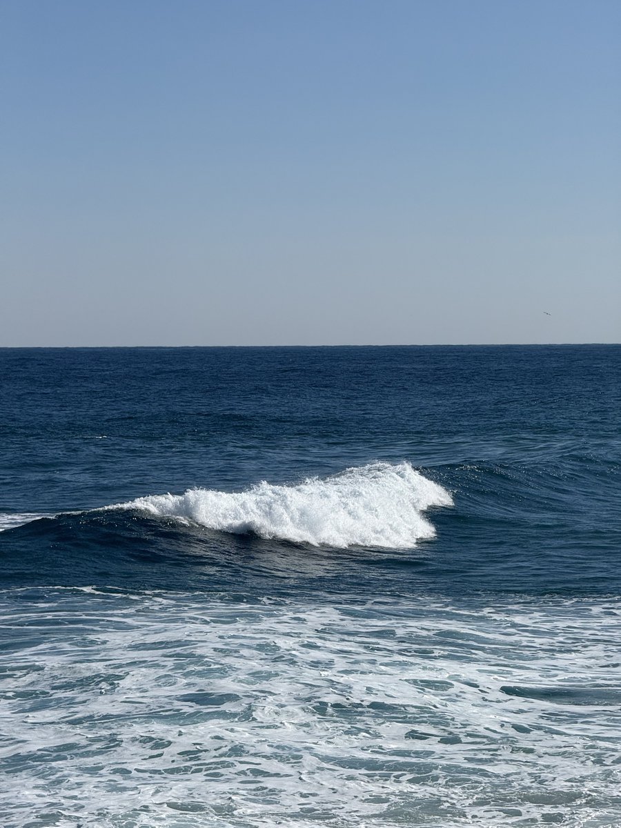 sasilddorae's tweet photo. 🌊 https://t.co/ydtfJ5DCSr