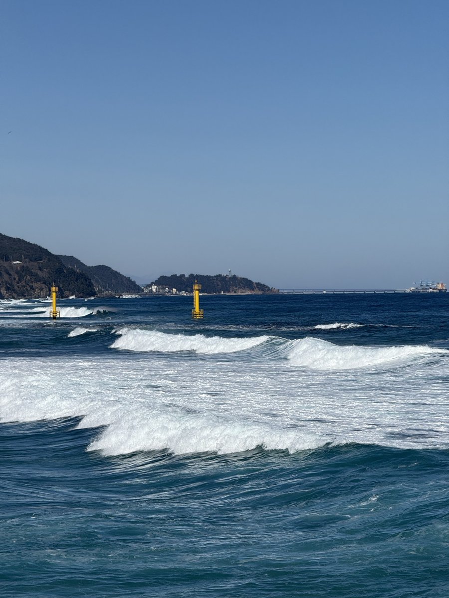 sasilddorae's tweet photo. 🌊 https://t.co/ydtfJ5DCSr