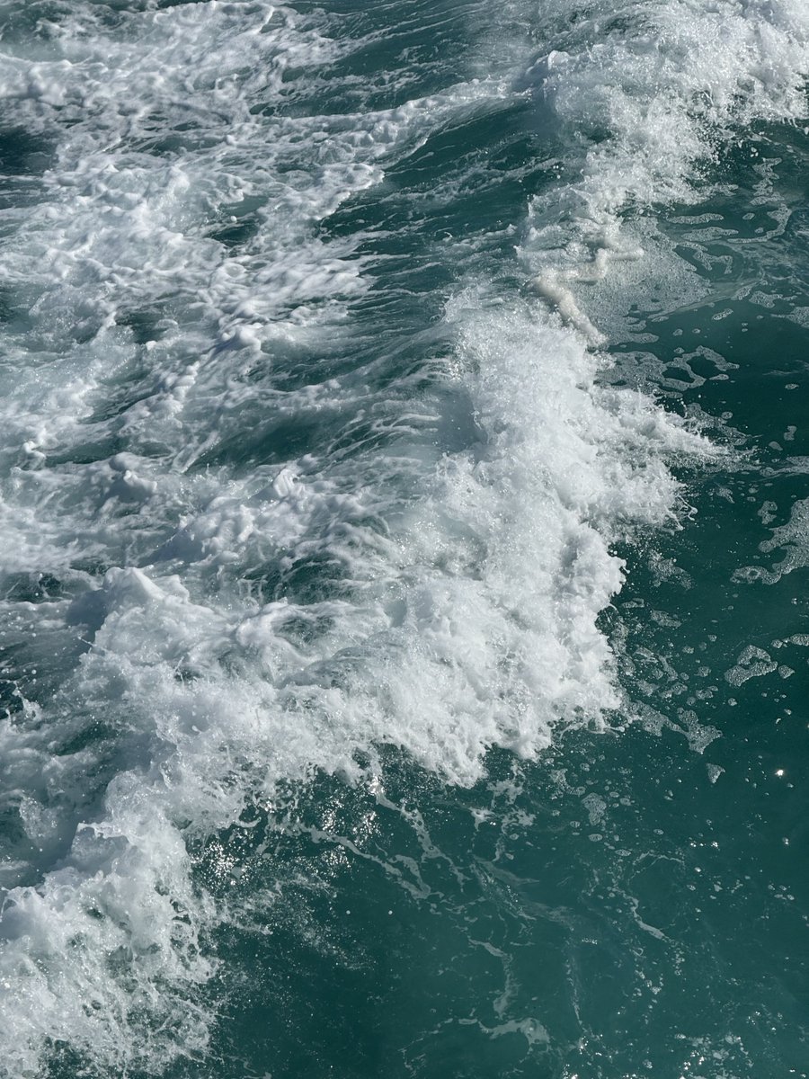 sasilddorae's tweet photo. 🌊 https://t.co/ydtfJ5DCSr