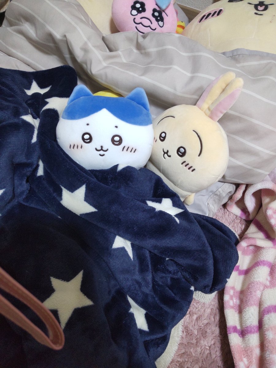 saya_diva8's tweet photo. ニューフェイスのうさコちゃん https://t.co/8XzElj2vkx