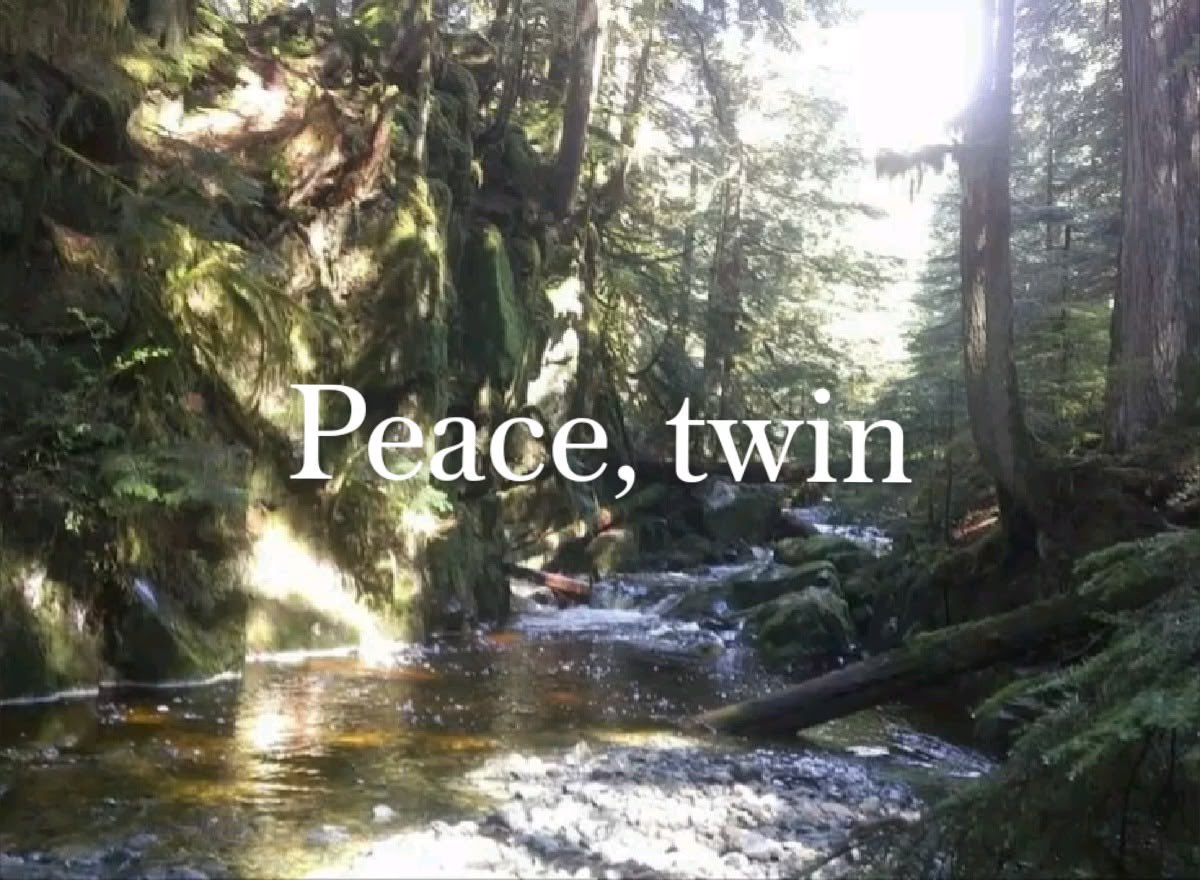 xpxcpb's tweet photo. i don’t get in what world being mean to anyone is ok regardless of who they are as a person can we all be kind and hug it out https://t.co/sFHfKw3vlh