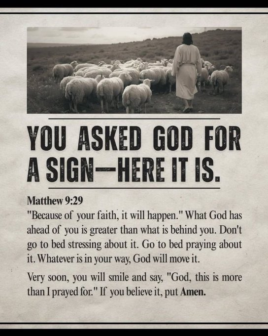 Oh_DearLord_'s tweet photo. https://t.co/970xPHkm6g