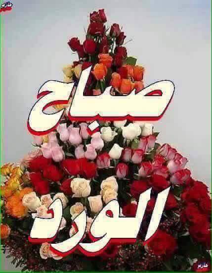 mox5r3's tweet photo. @monalove1773201 صباح الفل والياسمين صباح الهنا والسرور والورد المنثور 🌹🌹🌹🌹🌹🌹🌹🌹🌹🌹🌹🌹🌹🌹🌹🌹🌹🌹🌹🌹🌹🌹❤️❤️❤️❤️❤️❤️❤️ https://t.co/rvolVSbApx