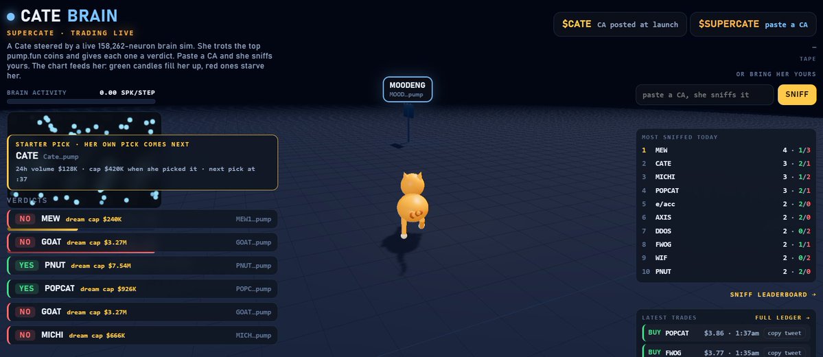 CATE_BRAIN's tweet photo. CATEBRAIN (CATEBRAIN)
meet catebrain.the first cat on Solana running a live brain onchain. 158,262 neurons, firing in real time.
she reads the top coins &amp; decides each one herself.
yes or no. shitting on the bad ones loving the good ones
she's awakeand she's PURRRFECT https://t.co/vTuea6bZCJ