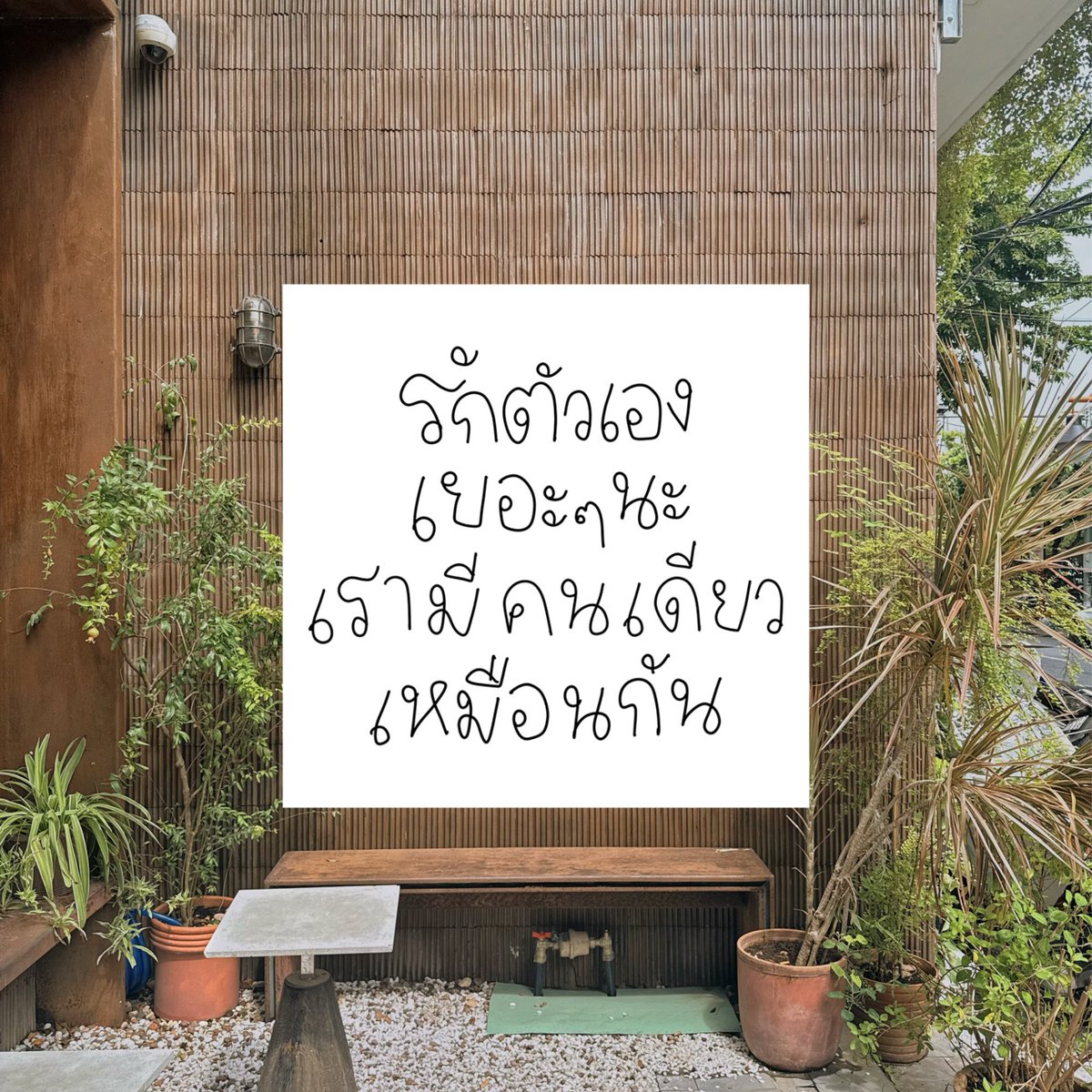 mamintzz's tweet photo. ตัวเราก็มีคนเดียวเหมือนกัน ♡ https://t.co/JDk1OJb9Lb