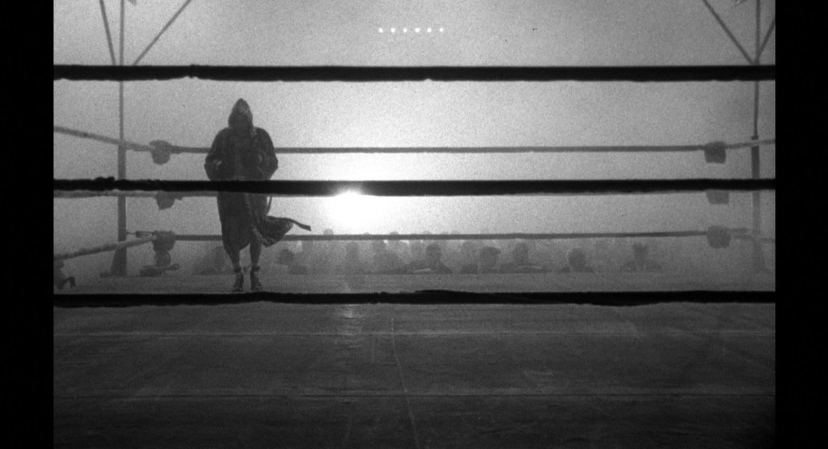 filmfr4me's tweet photo. Raging Bull (1980)
director: Martin Scorsese https://t.co/dIbwkCTdFA