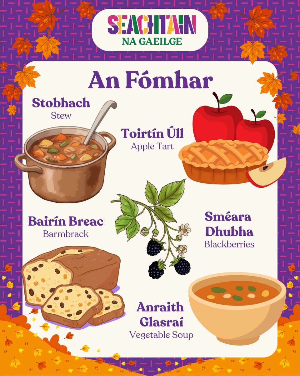 SnaGaeilge's tweet photo. An mbeidh tú ag ithe torthaí agus glasaraí atá i séasúr an fómhar seo? 🍎🍂

#Gaeilge #Irish #LearnIrish #Foghlaim #StórFocal #Foclóir #IrishLanguage https://t.co/goLZwATnYE