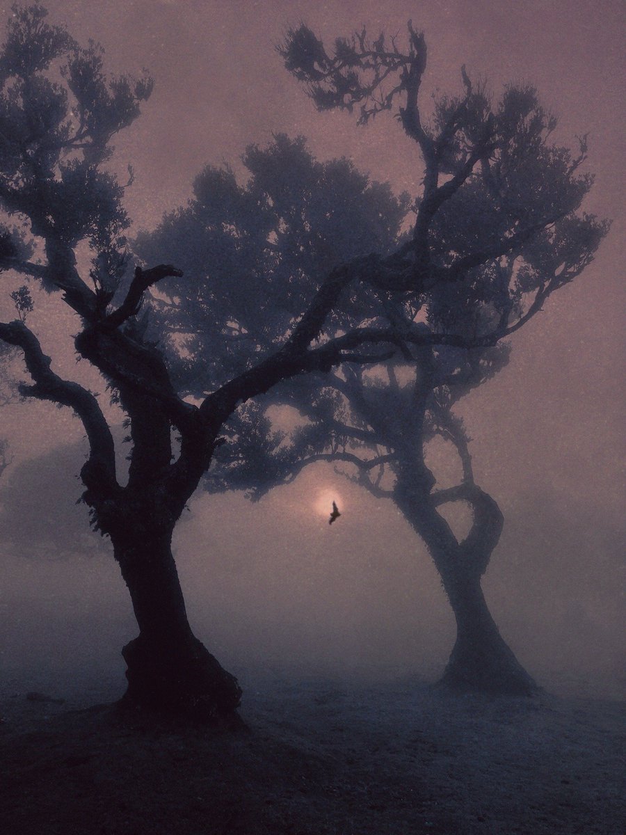 LaetitiaWilfert's tweet photo. I want to infect you with the tremendous excitement of living, because I believe that you have the strength to bear it

-Tennessee Williams, 
The Selected Letters, 
Vol. 1: 1920-1945

/ Nona Limmen https://t.co/4UMVmRI7Qm