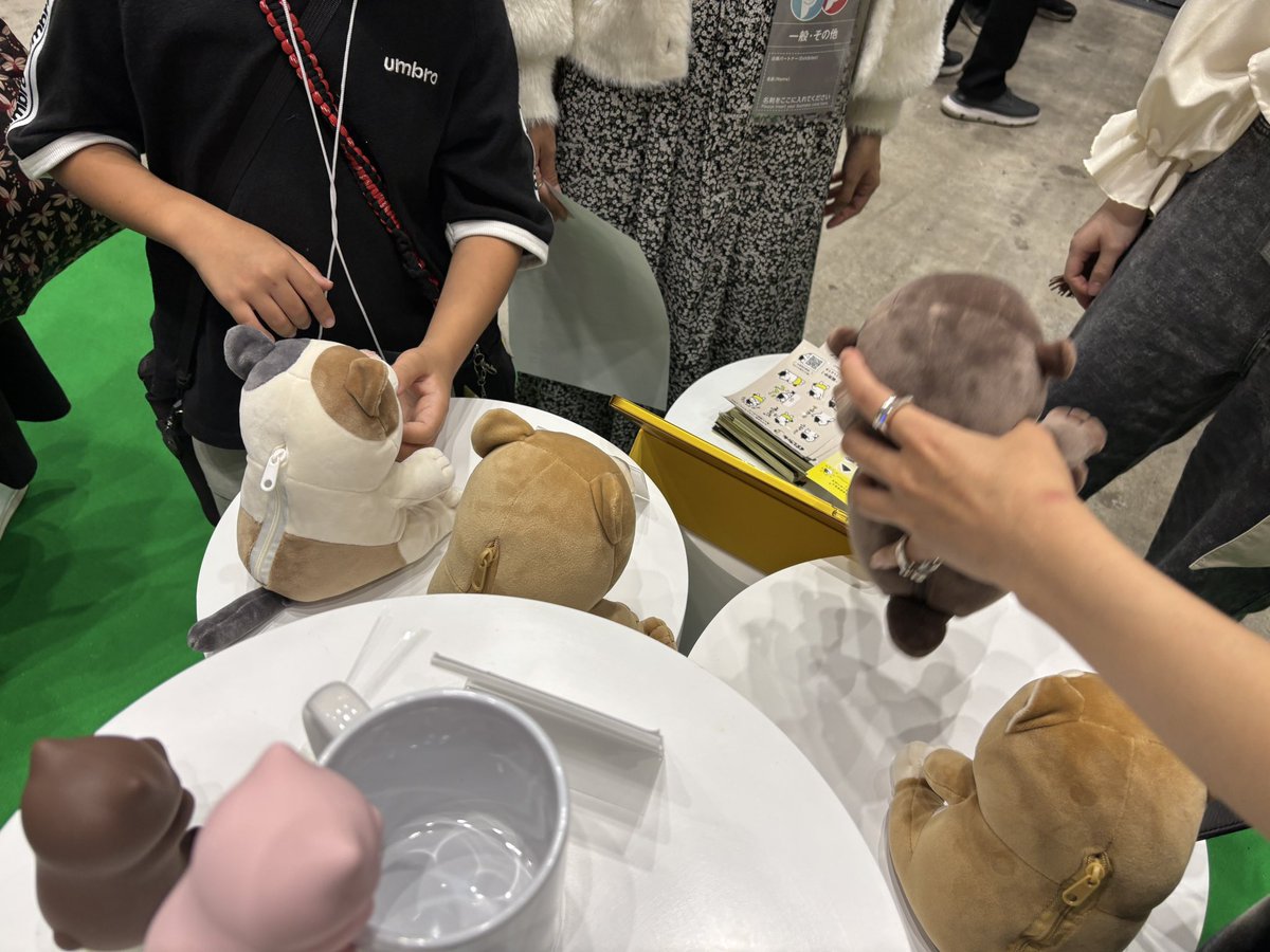 kurashichan's tweet photo. 明日まで✨
東京ビッグサイトでお待ちしてます🐱

📍西２ホール 1L-74

@glf_asahi https://t.co/G7OdOlMsYN