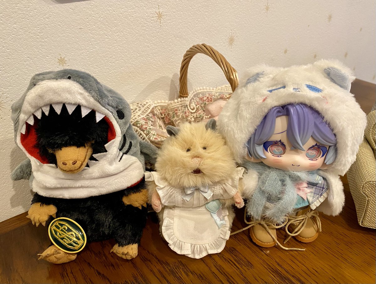 hakumaisangou's tweet photo. はむにぎりさんもこんにちは。
エプロンかわいい新人さん…！ https://t.co/uBkYwFc0C9