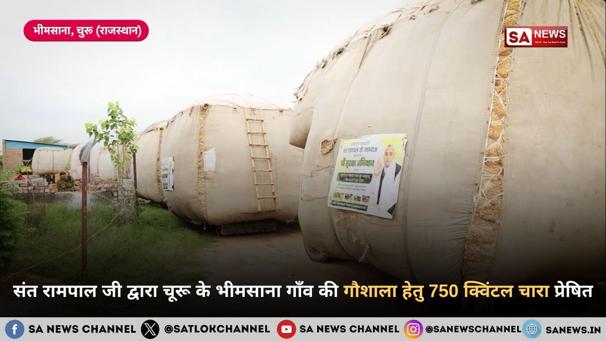 SatlokChannel's tweet photo. राजस्थान के चूरू जिले के भीमसाना गाँव की नौ गांवों की सांझा श्री श्याम गौशाला में चारे का गंभीर संकट उत्पन्न हो गया था। गौशाला में चार सौ सैंतीस गौवंश की देखभाल की जा रही है। चारे का भंडार समाप्त होने के कारण चालीस ग्रामीण और कमेटी सदस्य धनाना धाम पहुँचे और संत रामपाल जी महाराज के समक्ष प्रार्थना प्रस्तुत की। संत रामपाल जी महाराज ने तत्काल आदेश जारी करते हुए गौशाला के लिए सात सौ पचास क्विंटल से अधिक सूखा चारा प्रेषित किया। चारा पहुँचने पर हजारों की संख्या में ग्रामीण उपस्थित रहे: https://t.co/wXGTznIPQb | Read on Instagram: Link in Bio