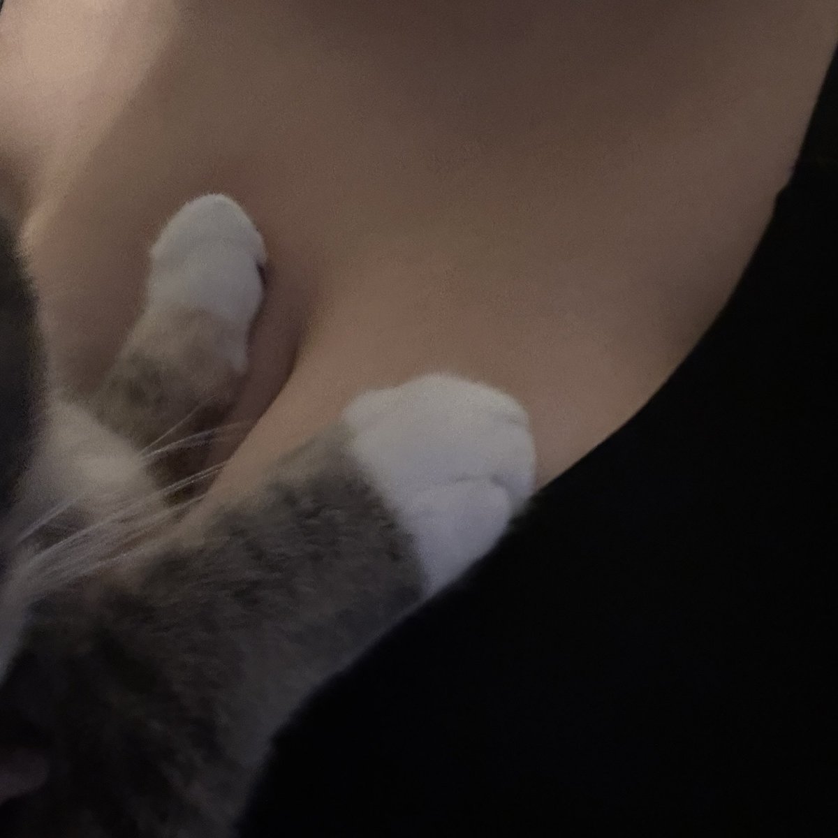 Creampuffatonce's tweet photo. https://t.co/Qw788TQSFZ