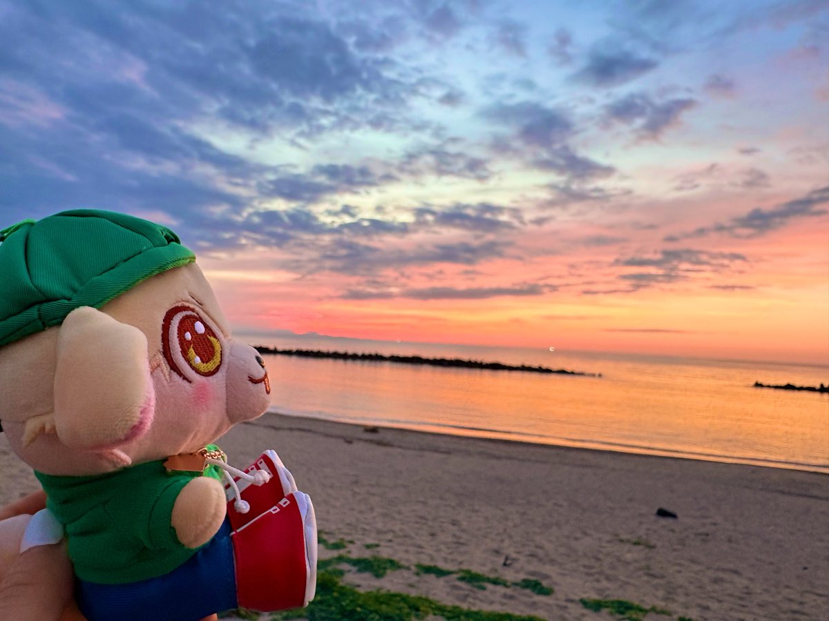 west_sui_7's tweet photo. Beatyちゃん日本海に沈む夕日だよ
#Beatyのおでかけ日記 https://t.co/BcdlTjXdCo