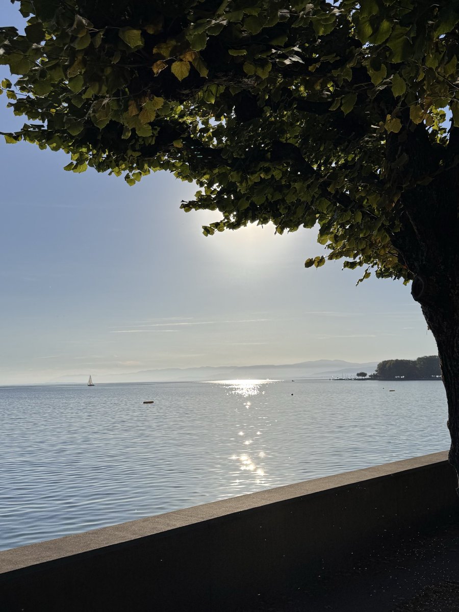 falamb3's tweet photo. Visiting Switzerland is always special….its easy going, laid back and chilled out…..walking around Lausanne was relaxing and delightful….look forward to coming back again soon…. https://t.co/9Xpt9gpyQd