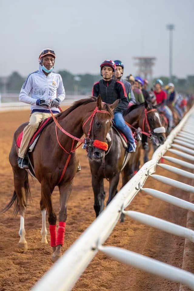 xz83b's tweet photo. الخيل https://t.co/q6JUppFGwu