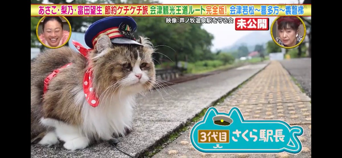 sngtk's tweet photo. 本日のテレビ東京『土曜ゴールデン　あさこ・梨乃の5万円旅　福島・会津の旅完全版！大放出SP』で、昨年の放送でカットされていた会津鉄道・芦ノ牧温泉駅の猫駅長(さくら、りく、そら)さん放送されました！

未放送地域もこの後TVerで配信されます。 https://t.co/G00NrJ1A1M