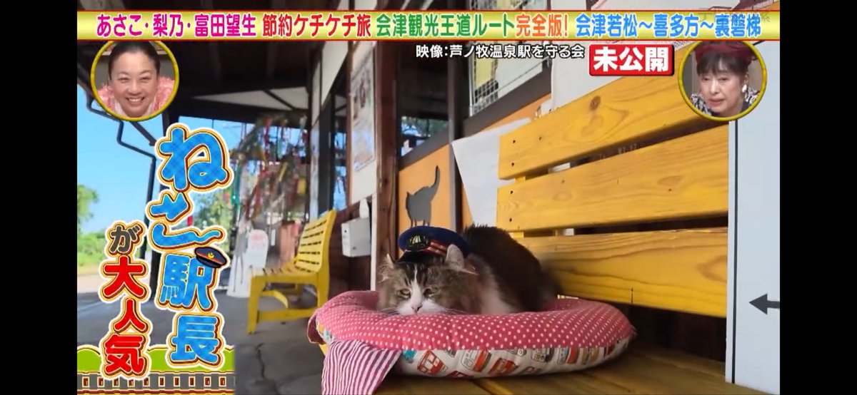 sngtk's tweet photo. 本日のテレビ東京『土曜ゴールデン　あさこ・梨乃の5万円旅　福島・会津の旅完全版！大放出SP』で、昨年の放送でカットされていた会津鉄道・芦ノ牧温泉駅の猫駅長(さくら、りく、そら)さん放送されました！

未放送地域もこの後TVerで配信されます。 https://t.co/G00NrJ1A1M