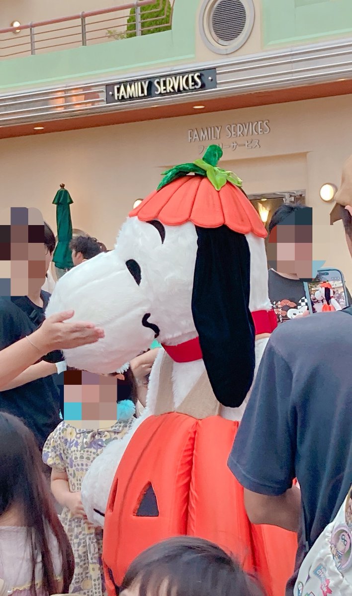 Alec_14_Route17's tweet photo. お祭り🏮＆USJ🐶
入場してすぐハロウィン仕様のスヌーピーが歩いてて奇跡的に会えたんやけど、犬見知りして一緒に写真撮ろう！って言えんかった😥
ワンピースのショーも観ました！
素敵な旅行でした！ https://t.co/mU9AvkNI2z